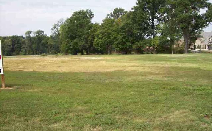 Pictures of Special Purpose property located at Lot 24 Old Country Club, Clinton, MO 64735 for sales - image #1