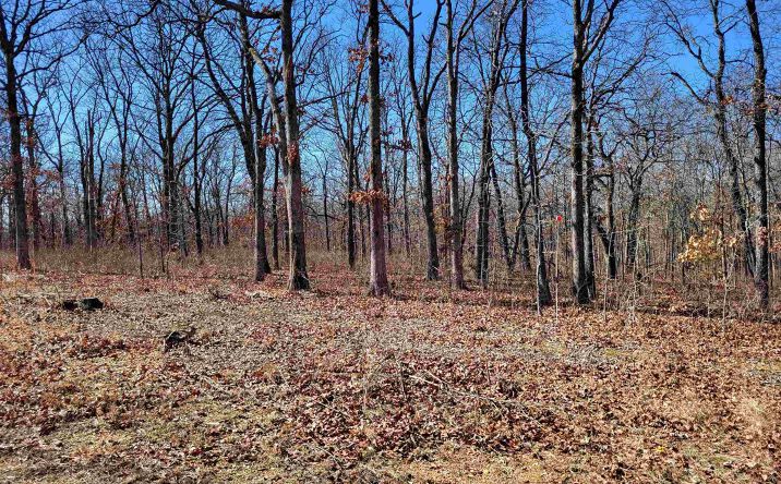 Pictures of Land, Special Purpose property located at Anne, Edwards, MO 65326 for sales - image #1