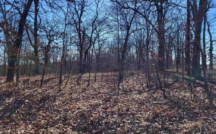 Pictures of Land property located at Anne, Edwards, MO 65326 for sales - image #1