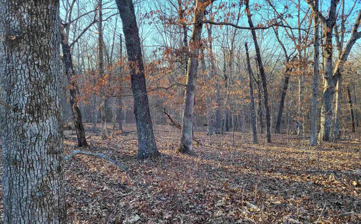 Pictures of Land, Multifamily property located at Wenzel, Edwards, MO 65326 for sales - image #1
