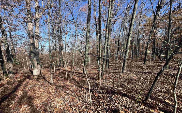 Pictures of Land property located at Lot 70&106 Hiwatha, Rocky Mount, MO 65072 for sales - image #1