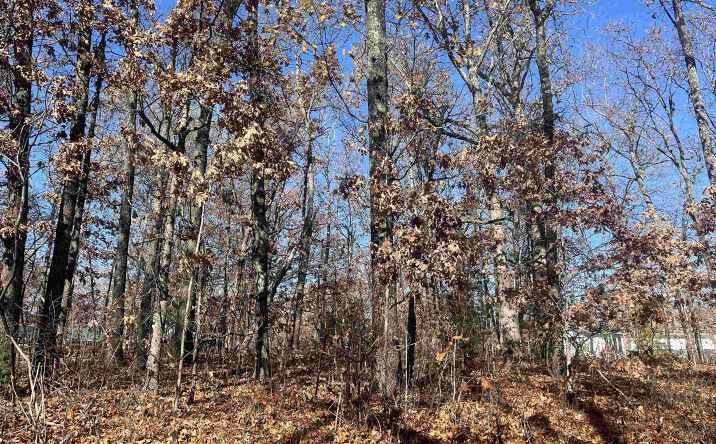 Pictures of Land property located at Lot 131 Geranamo, Rocky Mount, MO 65072 for sales - image #1