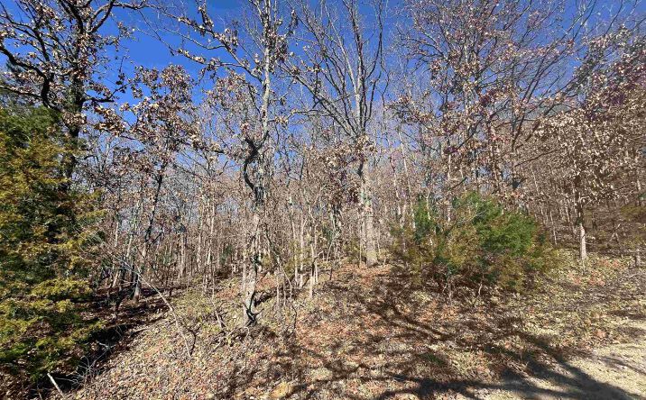 Pictures of Land property located at Lot 84, Rocky Mount, MO 65072 for sales - image #1