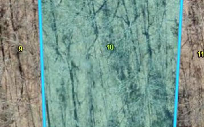 Pictures of Land property located at Lot 118 &119 Apache, Rocky Mount, MO 65072 for sales - image #1