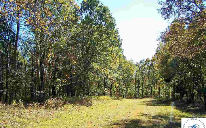 Pictures of Land property located at Lot 4149 Rodberg, Edwards, MO 65326 for sales - image #1
