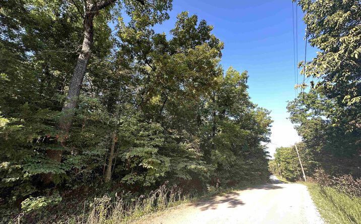 Pictures of Land property located at Lots 119-121 California, Edwards, MO 65326 for sales - image #1
