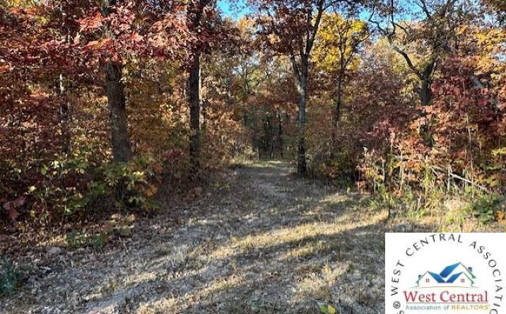 Pictures of Land, Special Purpose property located at 80 Acres Fair Oaks, Lincoln, MO 65338 for sales - image #1