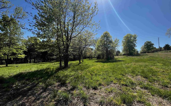 Pictures of Land property located at TBD Carmen Acres, Warsaw, MO 65355 for sales - image #1