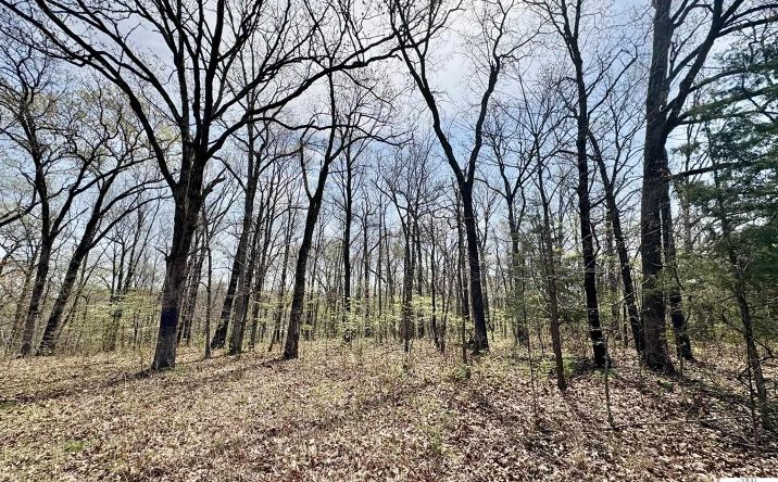 Pictures of Land property located at TBD Anchorage, Gravois Mills, MO 65037 for sales - image #1