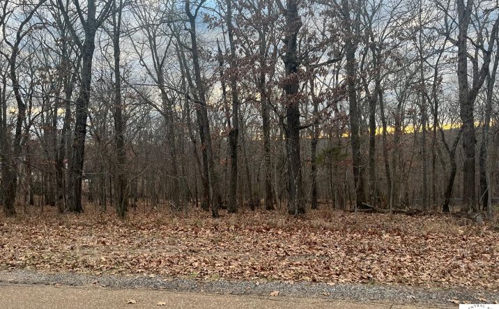 Pictures of Land property located at TBD Escapade, Warsaw, MO 65355 for sales - image #1