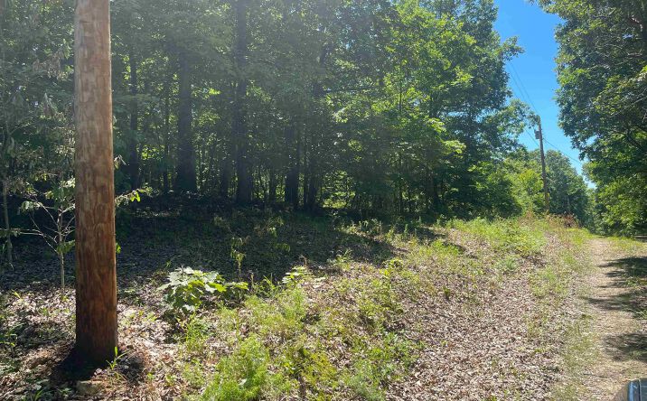 Pictures of Land property located at TBD Wapiti, Edwards, MO 65326 for sales - image #1
