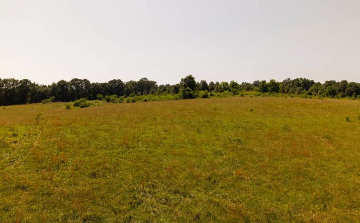 Pictures of Land property located at 804 Banks Rd, Hardy, AR 72542 for sales - image #1