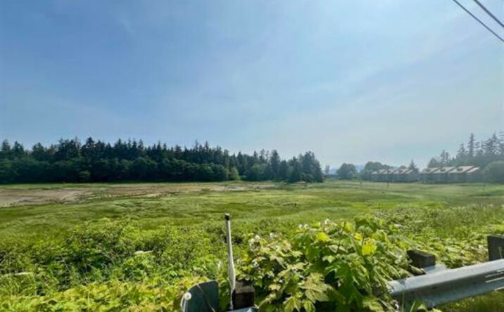 Pictures of Land property located at 0 National Park Service Rd, Juneau, AK 99801 for sales - image #1