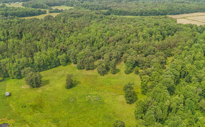 Pictures of Land property located at 731 Barren Springs Rd, Hollow Rock, TN 38342 for sales - image #1
