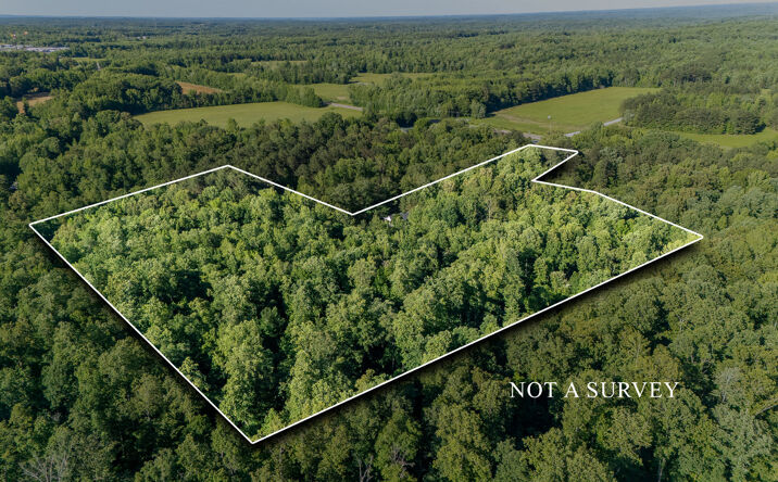 Pictures of Land property located at 151 Spence Store Loop, Holladay, TN 38341 for sales - image #1