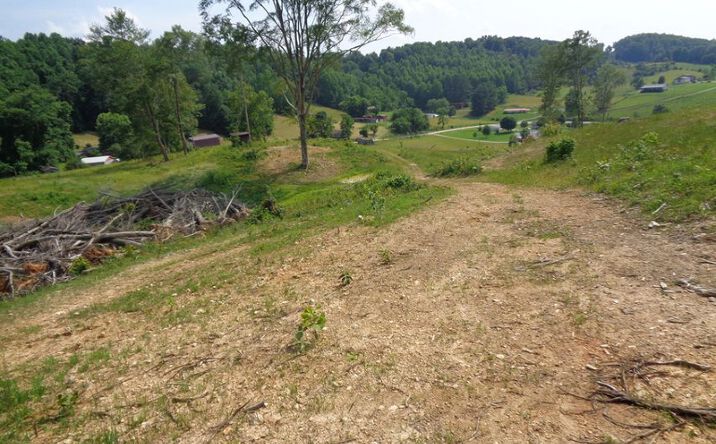 Pictures of Land property located at 3877 Hwy 66, Sneedville, TN 37869 for sales - image #1