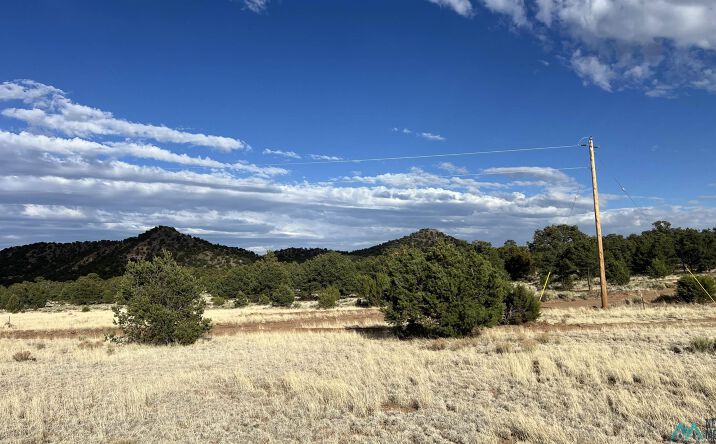 Pictures of Land property located at Pinon Ridge Rd Road, Pie Town, NM 87827 for sales - image #1