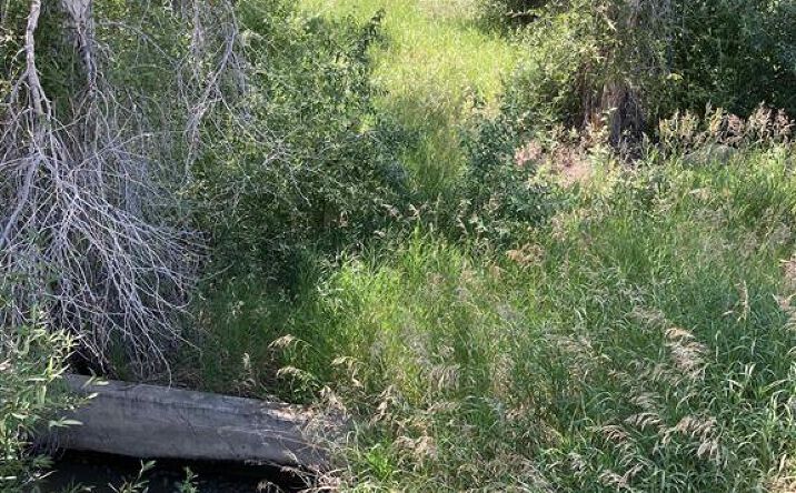 Pictures of Land property located at TBD Road 5N, Powell, WY 82435 for sales - image #1
