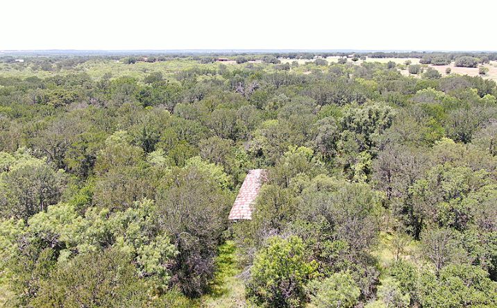 Pictures of Land property located at 1921 FM 2126, Early, TX 76802 for sales - image #1