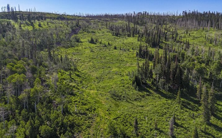Pictures of Land property located at 51735 County Road 80, Hayden, CO 81639 for sales - image #1