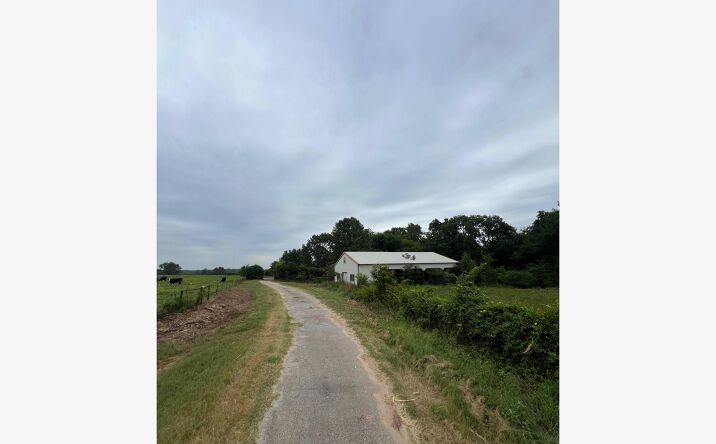 Pictures of Land property located at 12251 FM Rd 16, Winona, TX 75792 for sales - image #1
