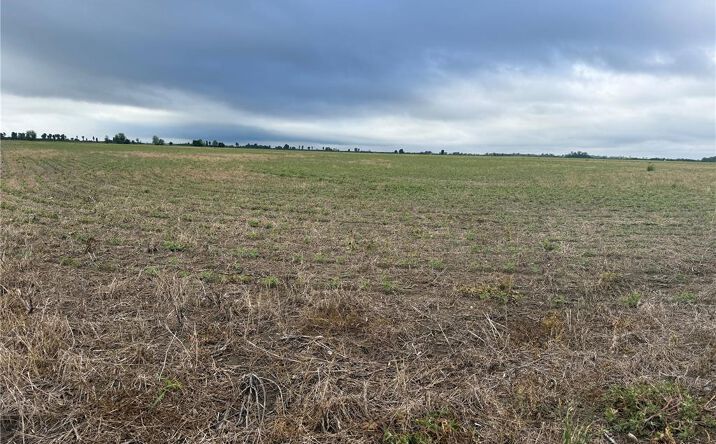 Pictures of Land property located at 0 County Road 406, Pascola, MO 63851 for sales - image #1