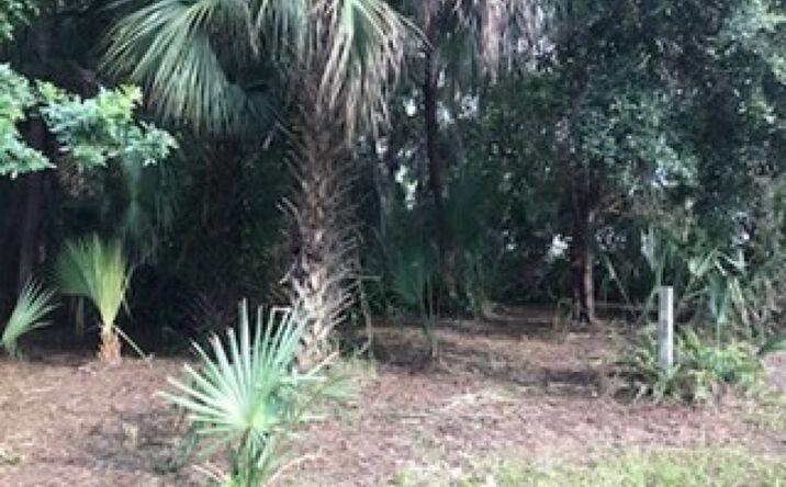 Pictures of Land property located at Guava St, Hudson, FL 34667 for sales - image #1