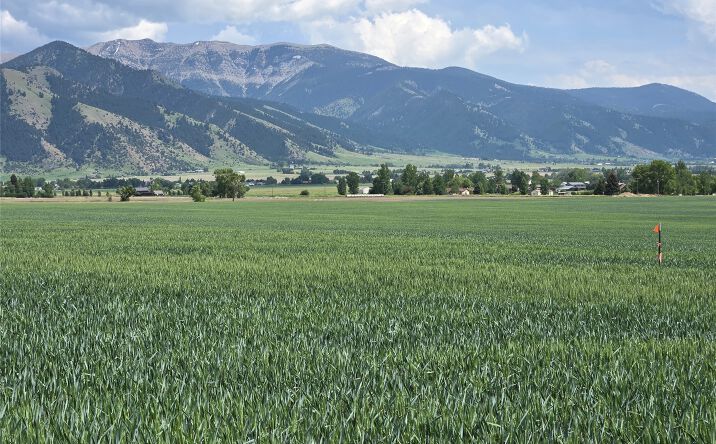 Pictures of Land property located at Lot 3 Penwell Bridge Road, Belgrade, MT 59714 for sales - image #1