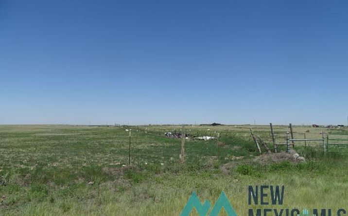 Pictures of Land property located at Nm Highway 402, Clayton, NM 88415 for sales - image #1