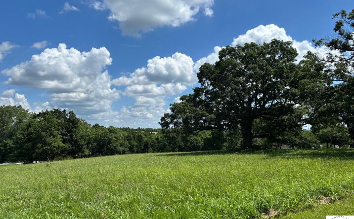 Pictures of Land property located at Lots 50 Glenn, Warsaw, MO 65355 for sales - image #1