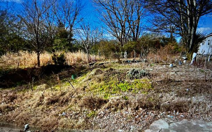 Pictures of Land property located at 1081 Walk Pl, Memphis, TN 38106 for sales - image #1