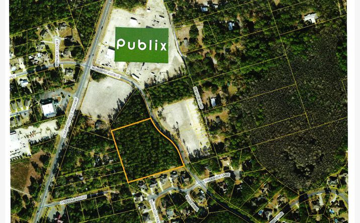 Pictures of Land property located at 50 Songbird Ave, Crawfordville, FL 32327 for sales - image #1