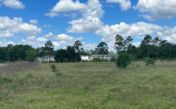 Pictures of Land property located at Cajer Posey Rd, Crawfordville, FL 32327 for sales - image #1