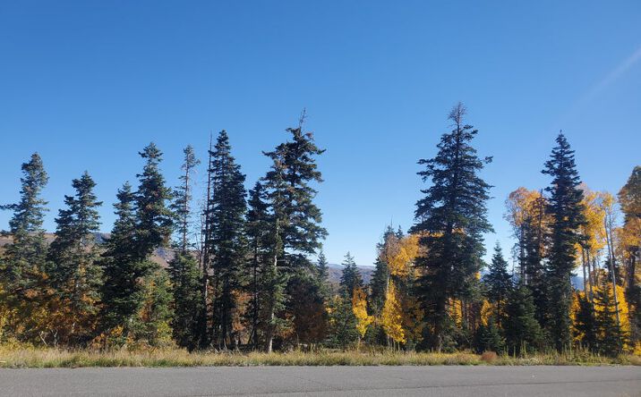 Pictures of Land property located at Kolob Ter Rd, Kolob, UT 84779 for sales - image #1