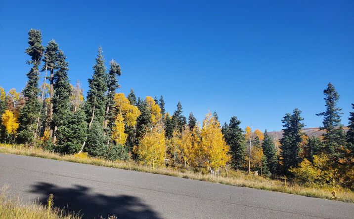 Pictures of Land property located at Kolob Terrace Rd, Kolob, UT 84779 for sales - image #1