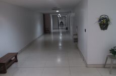 24626243