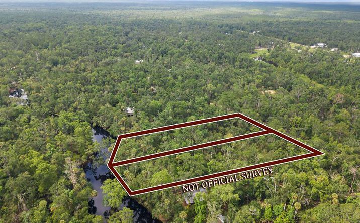 Pictures of Land property located at 2338 NE Ancient Oaks Dr, Steinhatchee, FL 32359 for sales - image #1