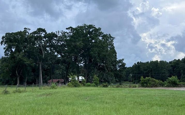 Pictures of Land property located at Lot 5 NW 5th Pl, Chiefland, FL 32626 for sales - image #1