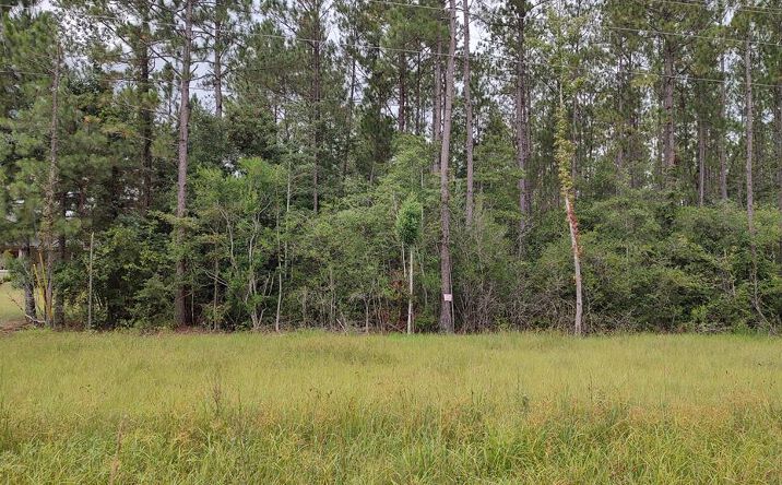 Pictures of Land property located at NHN NHN, Picayune, MS 39466 for sales - image #1