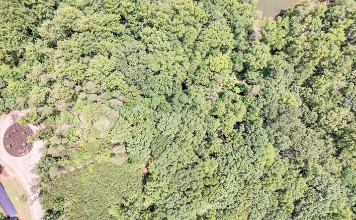 Pictures of Land property located at Lot 170 Talon Ridge Rd, Penhook, VA 24137 for sales - image #1