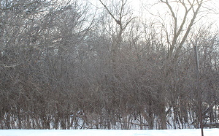 Pictures of Land, Multifamily property located at 930 N Fairfield Road, Round Lake Beach, IL 60073 for sales - image #1