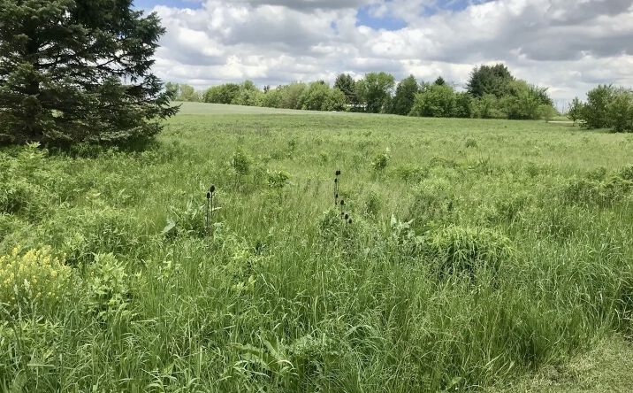 Pictures of Land, Office, Retail property located at 0 Lot 2 Ratfield Road, Marengo, IL 60152 for sales - image #1