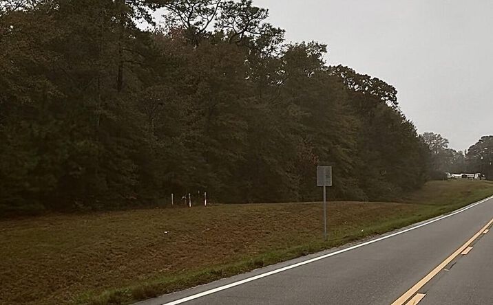 Pictures of Land property located at 288 Highway 53, Poplarville, MS 39470 for sales - image #1