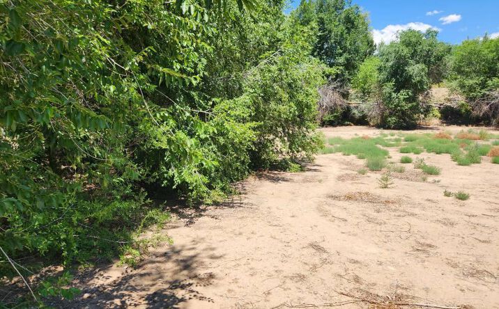 Pictures of Special Purpose property located at 1817 W AZTEC Boulevard, Aztec, NM 87410 for sales - image #1
