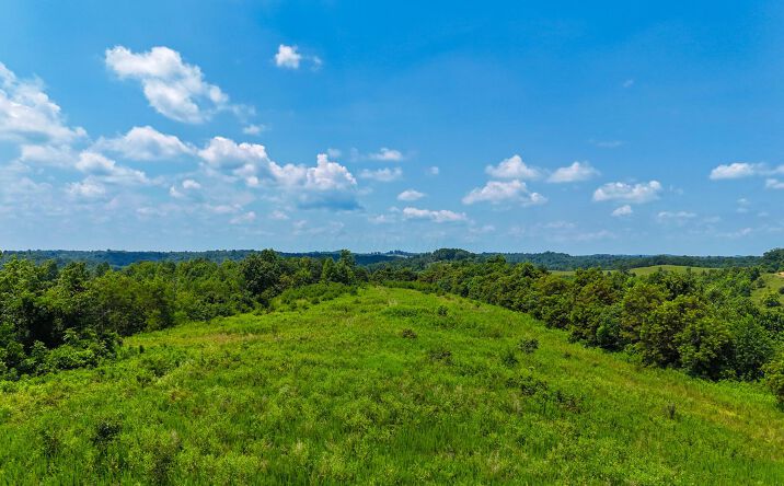 Pictures of Land property located at 2772 Township Road 177, Willow Wood, OH 45696 for sales - image #1