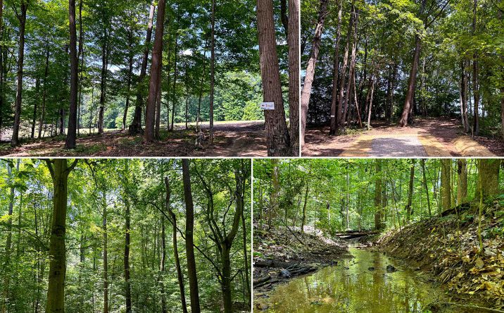Pictures of Land property located at 0 Wolf Hill Road #(Tract 2 Wolf Hill), Vinton, OH 45686 for sales - image #1