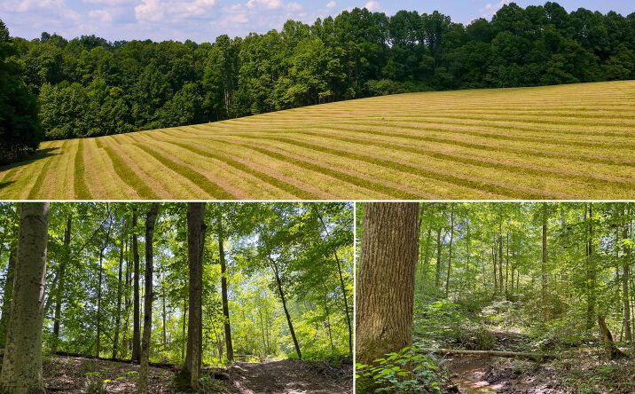 Pictures of Land property located at 0 Wolf Hill Road #(Tract 3 Wolf Hill), Vinton, OH 45686 for sales - image #1