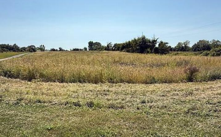 Pictures of Land property located at 3684 Township Road 59, Mount Gilead, OH 43338 for sales - image #1