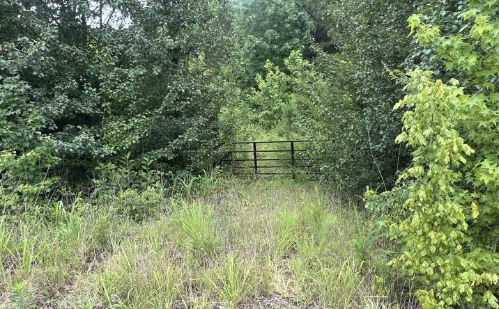 Pictures of Land property located at 200 Bowman Loop Road, Beech Bluff, TN 38313 for sales - image #1