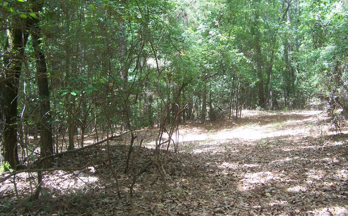 Pictures of Land property located at 3386 Jackson Creek Rd, Winnsboro, SC 29180 for sales - image #1